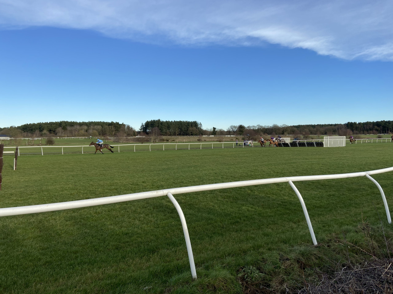 Market Rasen horse racing.